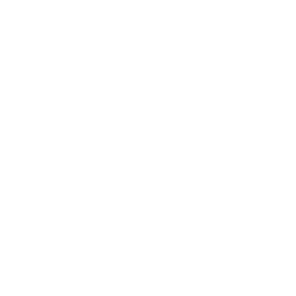 Wordpress Logo White
